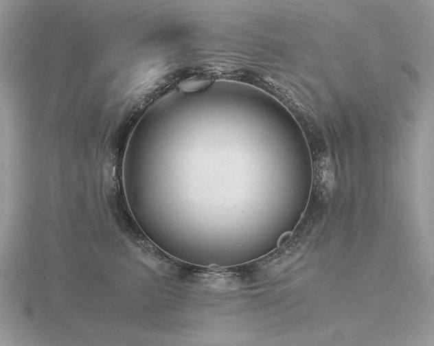 X0000116480615200912091401