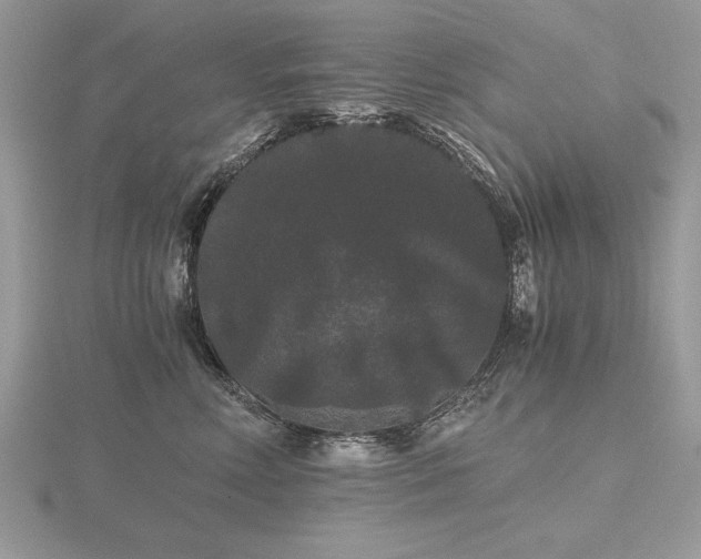 X0000116480618200912091401