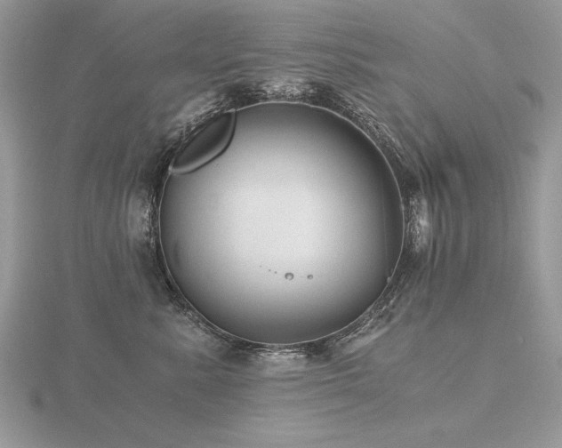 X0000116480619200912091401