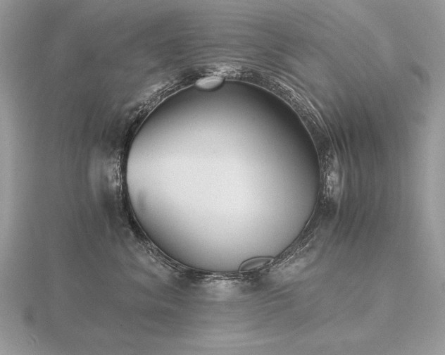 X0000116480620200912091401