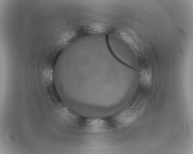 X0000116480621200912091401