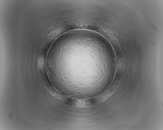 X0000116480623200912091401