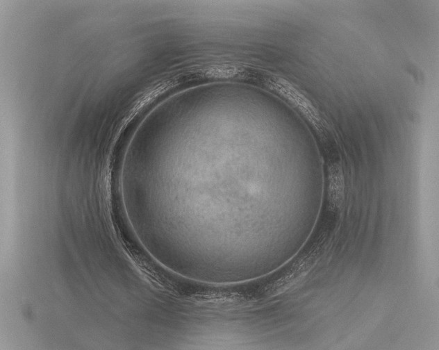 X0000116480626200912091400