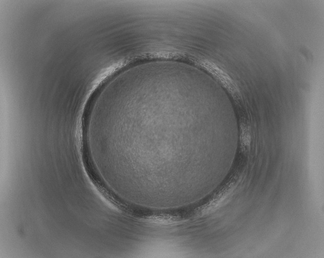 X0000116480630200912091401