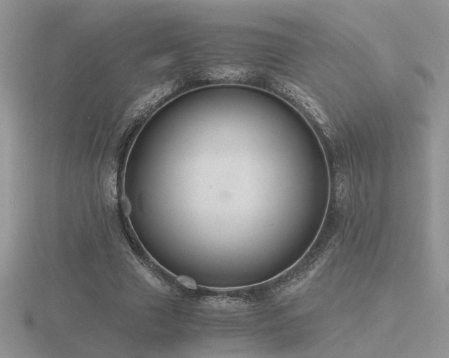 X0000116480633200912091401