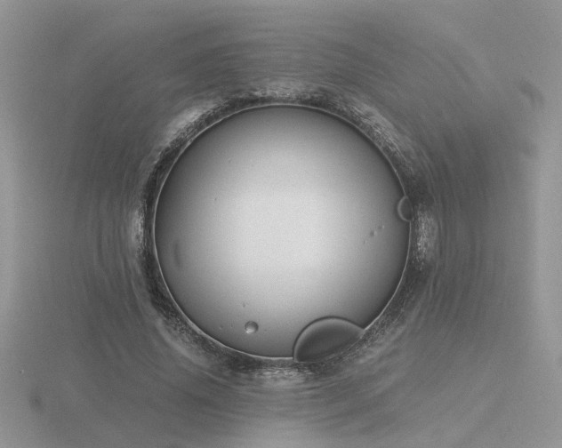 X0000116480636200912091401