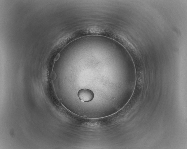 X0000116480639200912091401