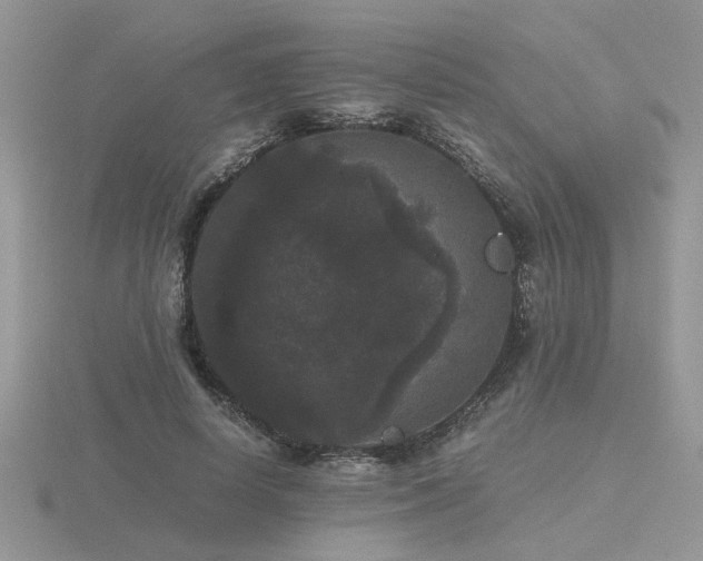 X0000116480642200912091401