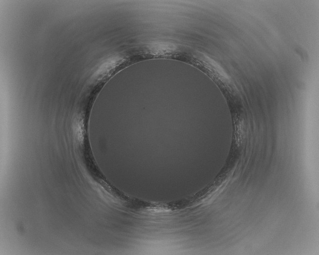 X0000116480644200912091401