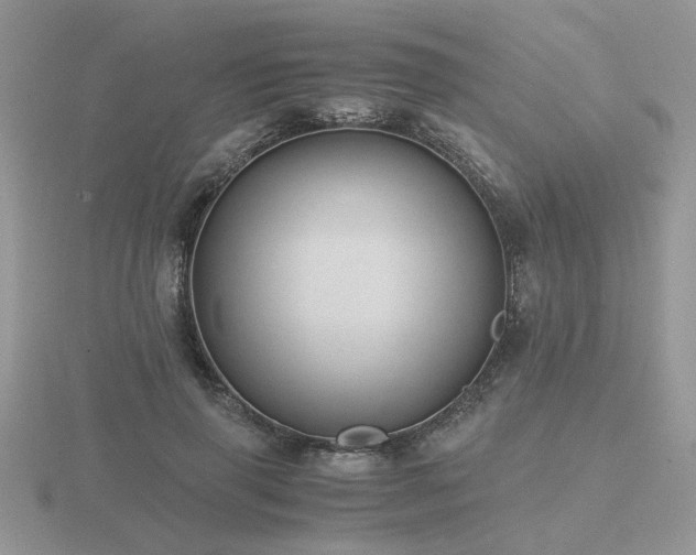 X0000116480645200912091401