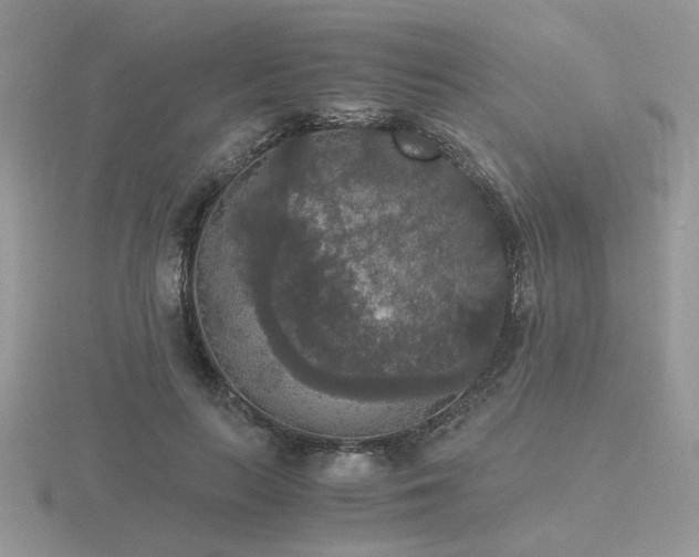 X0000116480647200912091401