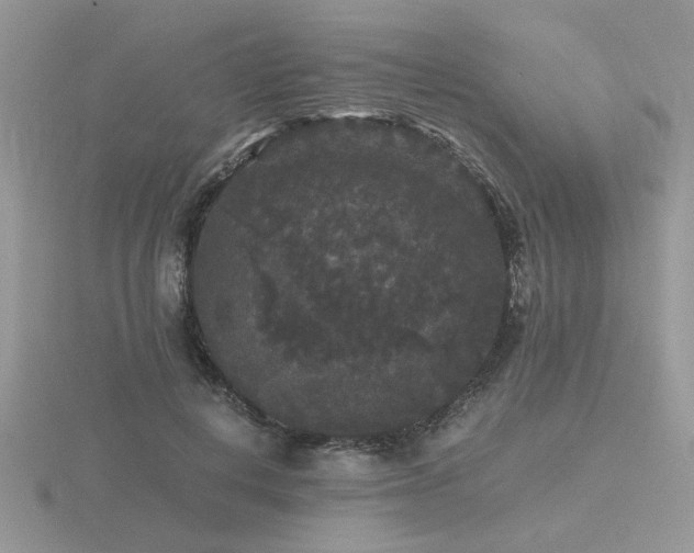 X0000116480648200912091401