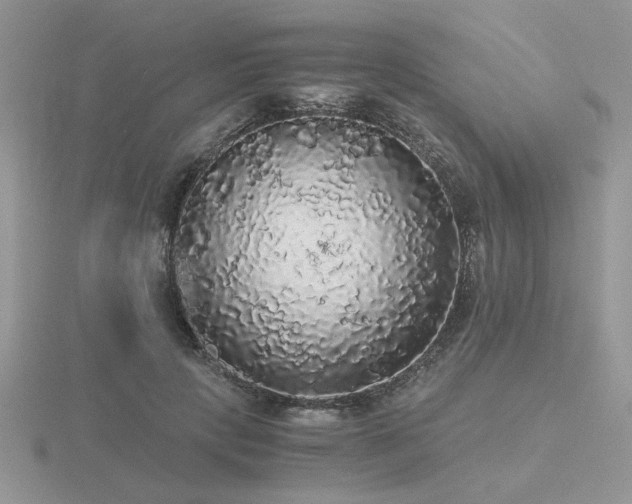 X0000116480649200912091401