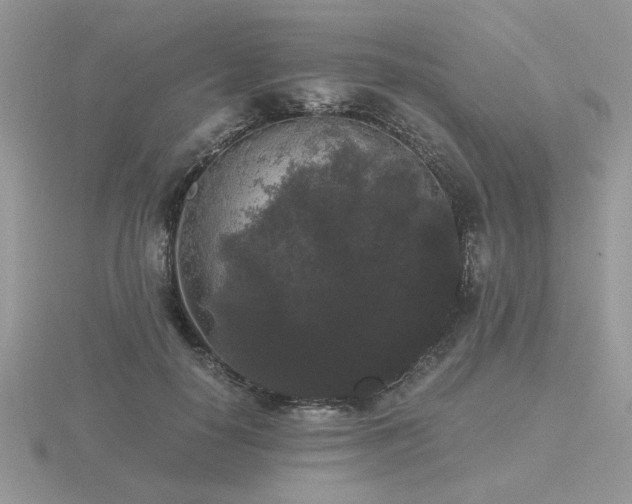 X0000116480650200912091401