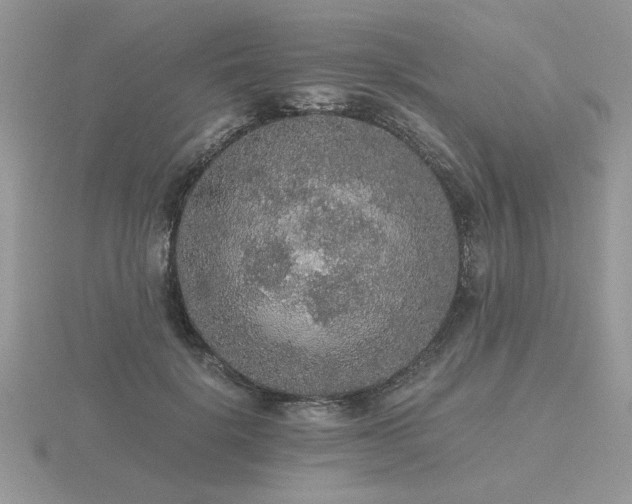 X0000116480652200912091401