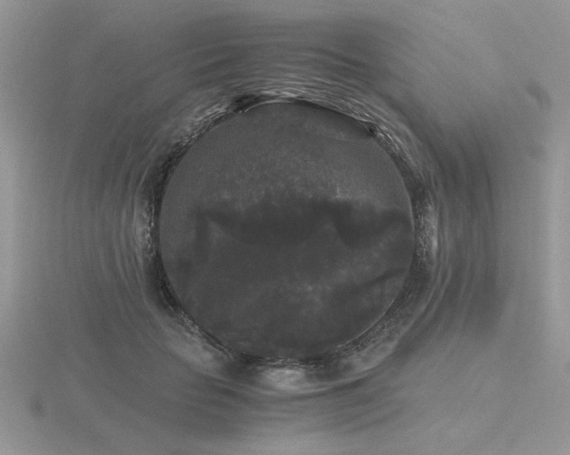 X0000116480653200912091401