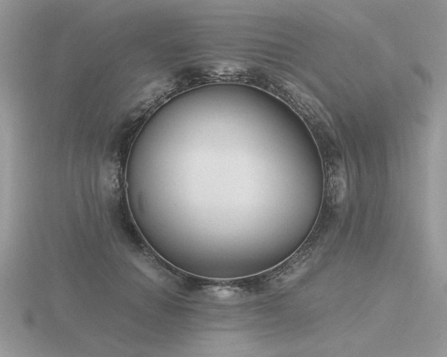 X0000116480654200912091401