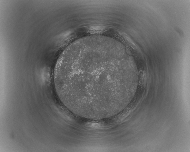 X0000116480655200912091401