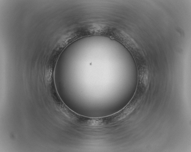 X0000116480660200912091401