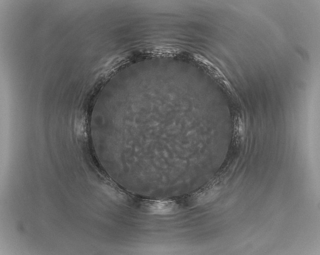 X0000116480663200912091401