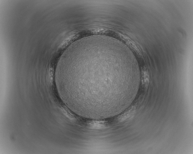 X0000116480664200912091401