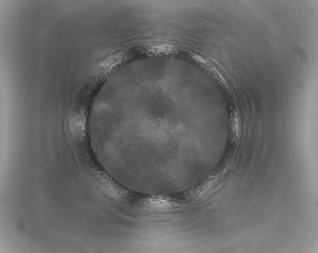 X0000116480668200912091401