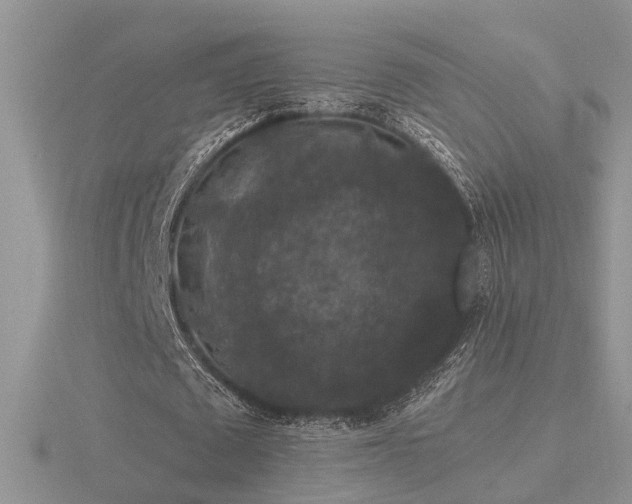 X0000116480673200912091400