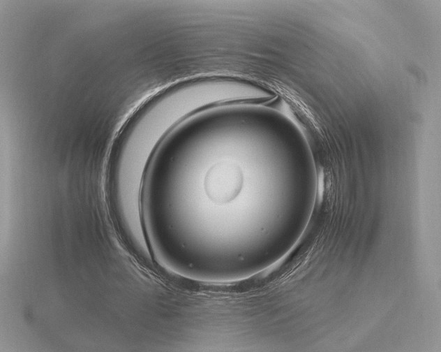 X0000116480676200912091400