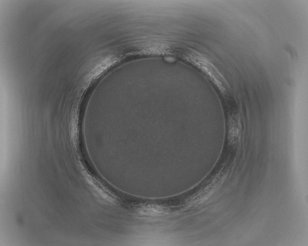 X0000116480677200912091400