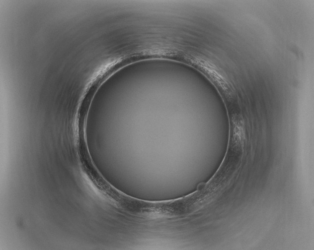 X0000116480678200912091400