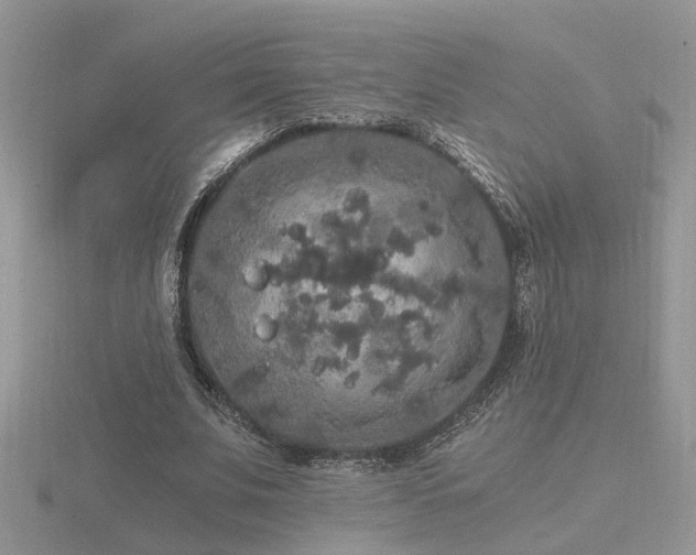 X0000116480679200912091400