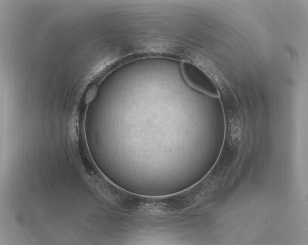 X0000116480680200912091400