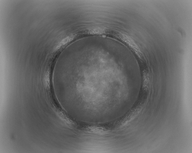 X0000116480681200912091400