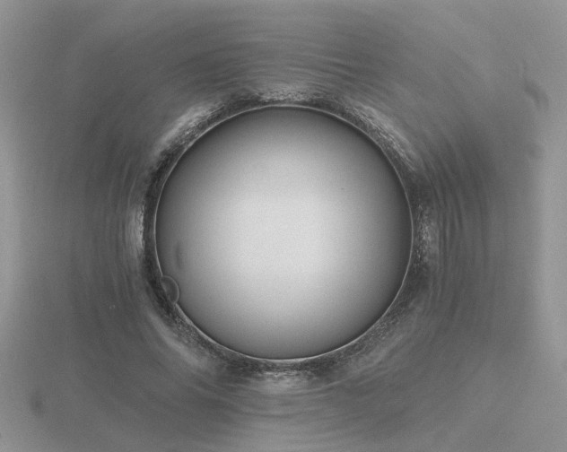 X0000116480686200912091400