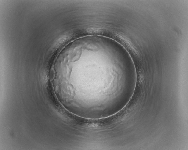 X0000116480687200912091400