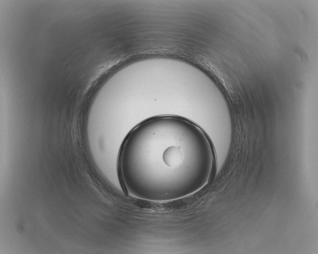 X0000116480688200912091400