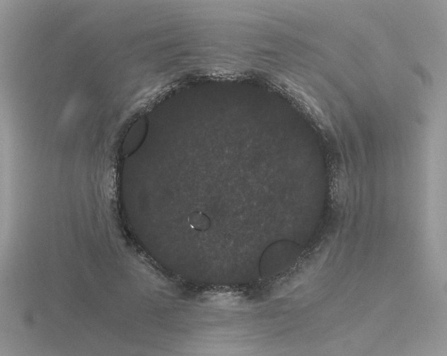 X0000116480689200912091400