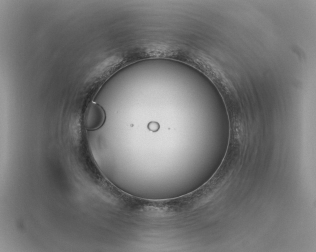 X0000116480690200912091400