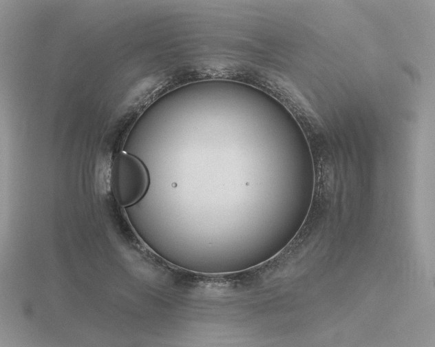 X0000116480694200912091400