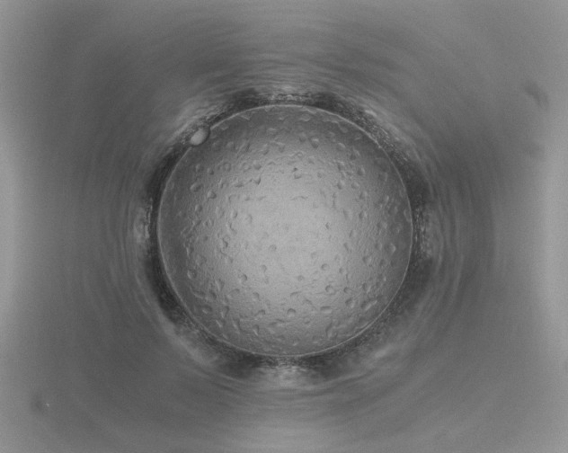 X0000116480695200912091400