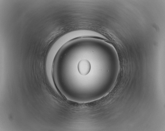 X0000116480696200912091400