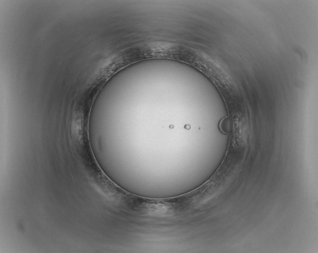 X0000116480698200912091400