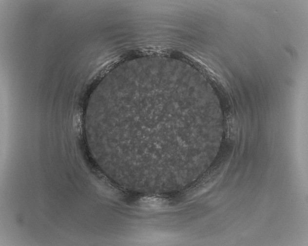 X0000116480699200912091400