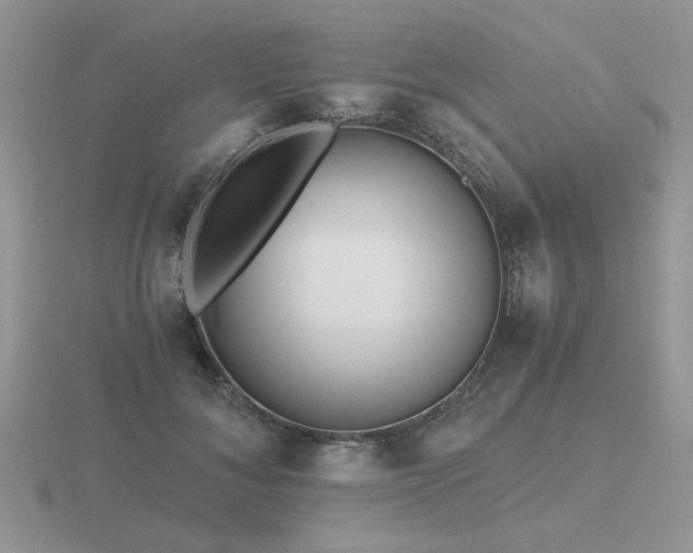 X0000116480700200912091400