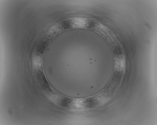 X0000116480701200912091400