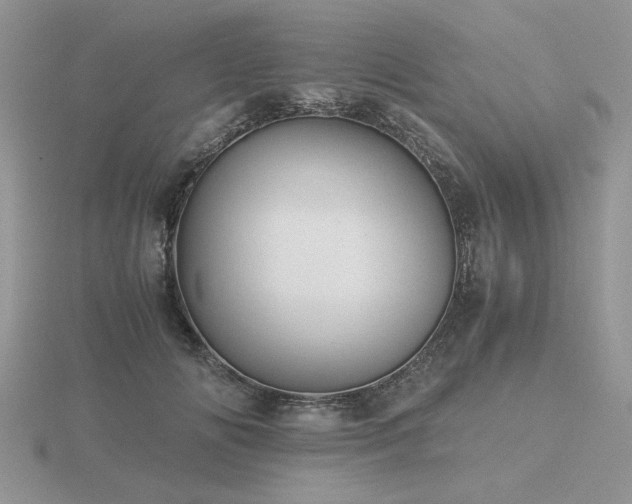 X0000116480702200912091400