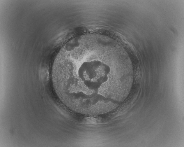 X0000116480703200912091400