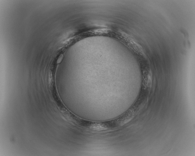 X0000116480704200912091400