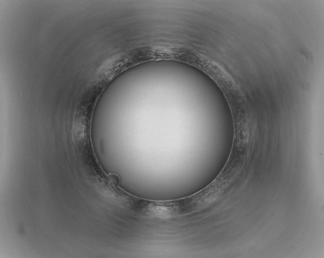 X0000116480706200912091400