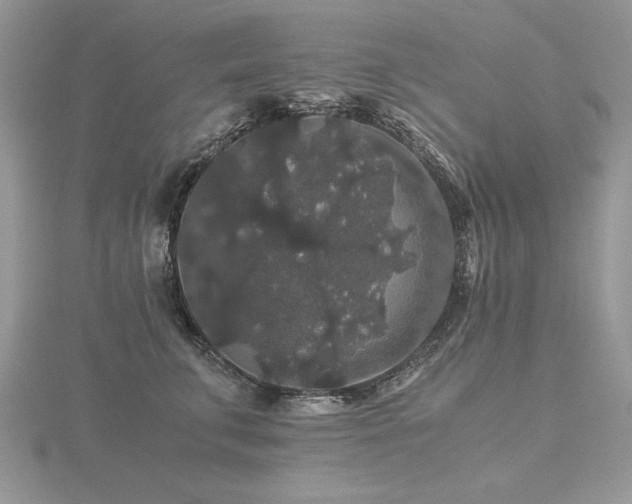 X0000116480711200912091400